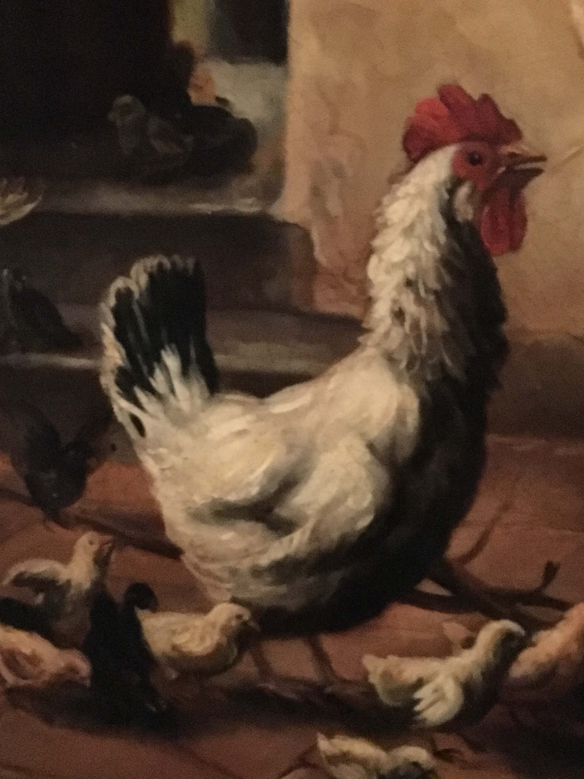 Scena Interna – Olio su tela cm.60×100 Eugenio De Blasi Italia 2005_8