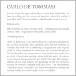 Microsoft Word – DE TOMMASI  BIOGRAFIA