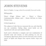 Microsoft Word – steavens  BIOGRAFIA